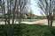 Neighborhood and Boulevard at Entrance Round-about