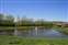 Neighborhood Lake